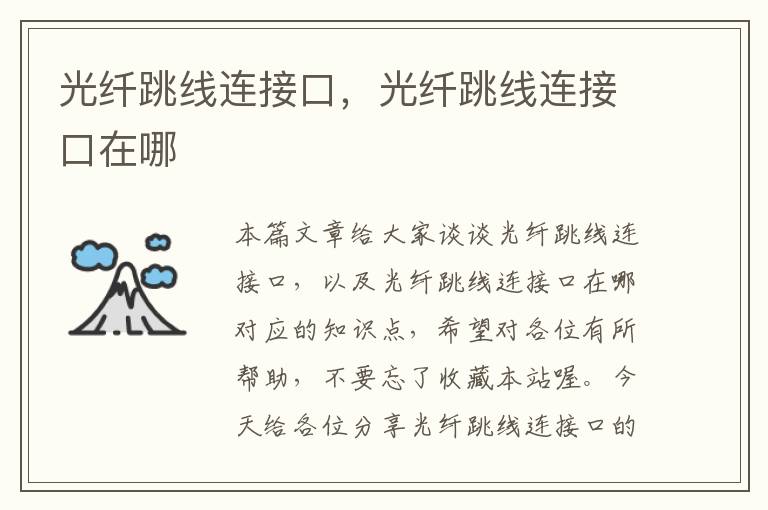 光纤跳线连接口,光纤跳线连接口在哪