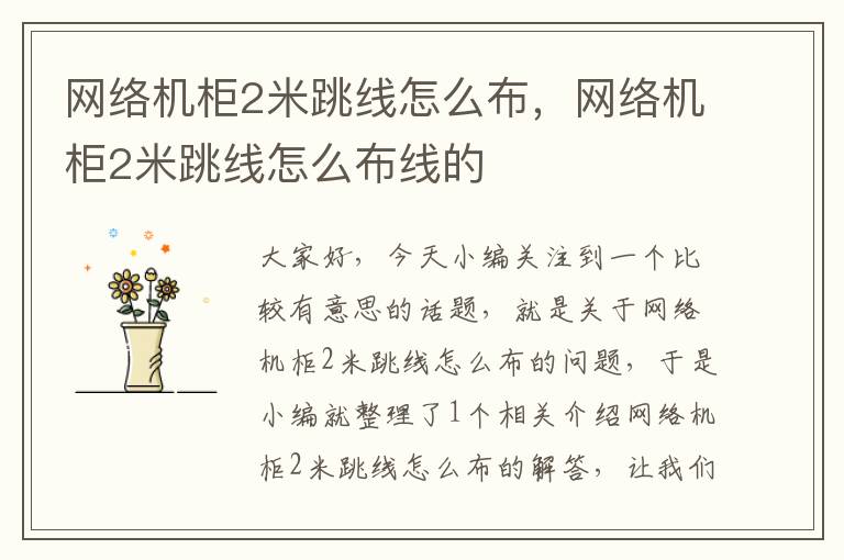 网络机柜2米跳线怎么布,网络机柜2米跳线怎么布线的
