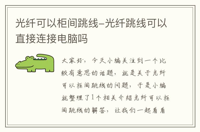 光纤可以柜间跳线-光纤跳线可以直接连接电脑吗