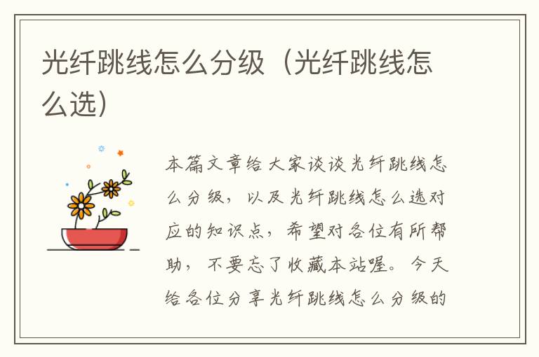 光纤跳线怎么分级(光纤跳线怎么选)