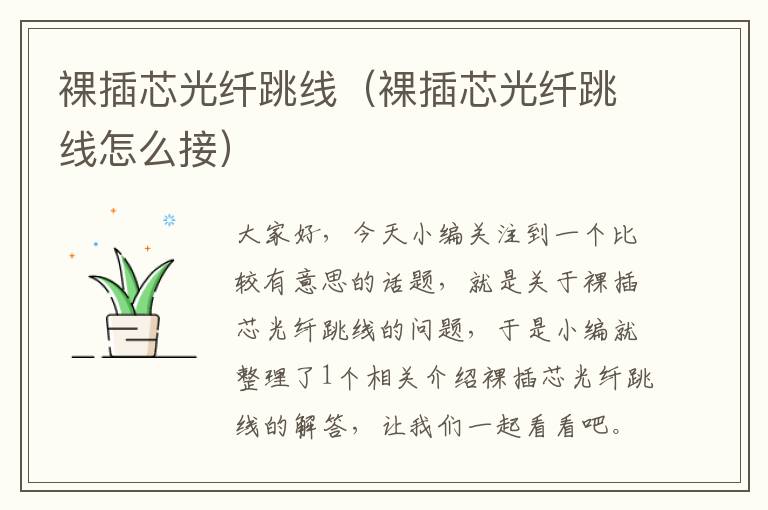 裸插芯光纤跳线(裸插芯光纤跳线怎么接)