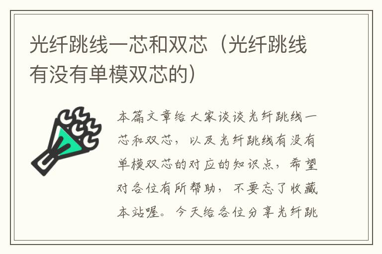 光纤跳线一芯和双芯(光纤跳线有没有单模双芯的)