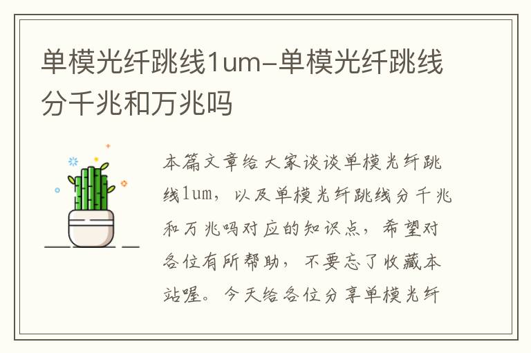 单模光纤跳线1um-单模光纤跳线分千兆和万兆吗
