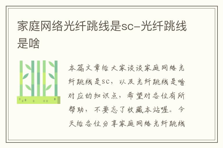 家庭网络光纤跳线是sc-光纤跳线是啥