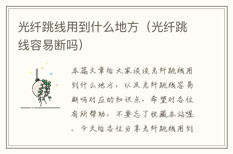 光纤跳线用到什么地方(光纤跳线容易断吗)